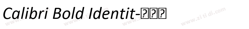 Calibri Bold Identit字体转换